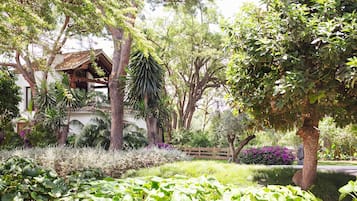 Una casa rodeada de abundante vegetación y árboles.