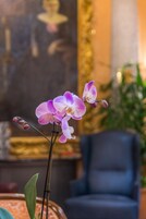 A room with a blue armchair, a vase with purple orchids, and a painting on the wall.