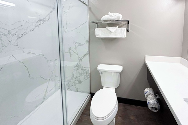 Eco-friendly toiletries, towels, shampoo, toilet paper