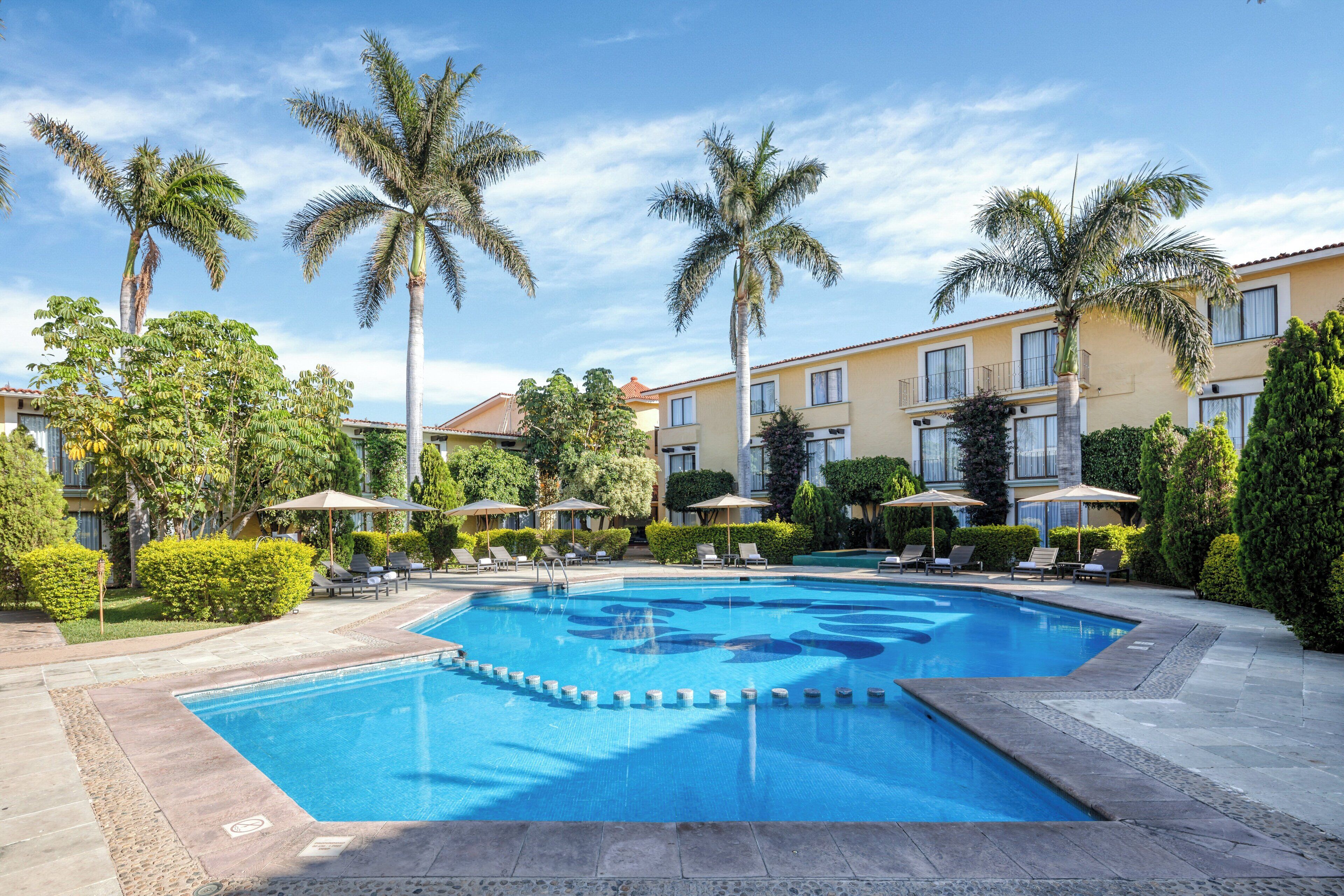 Piscina com espreguiçadeiras e guarda-sóis, cercada por palmeiras e um edifício com varandas.