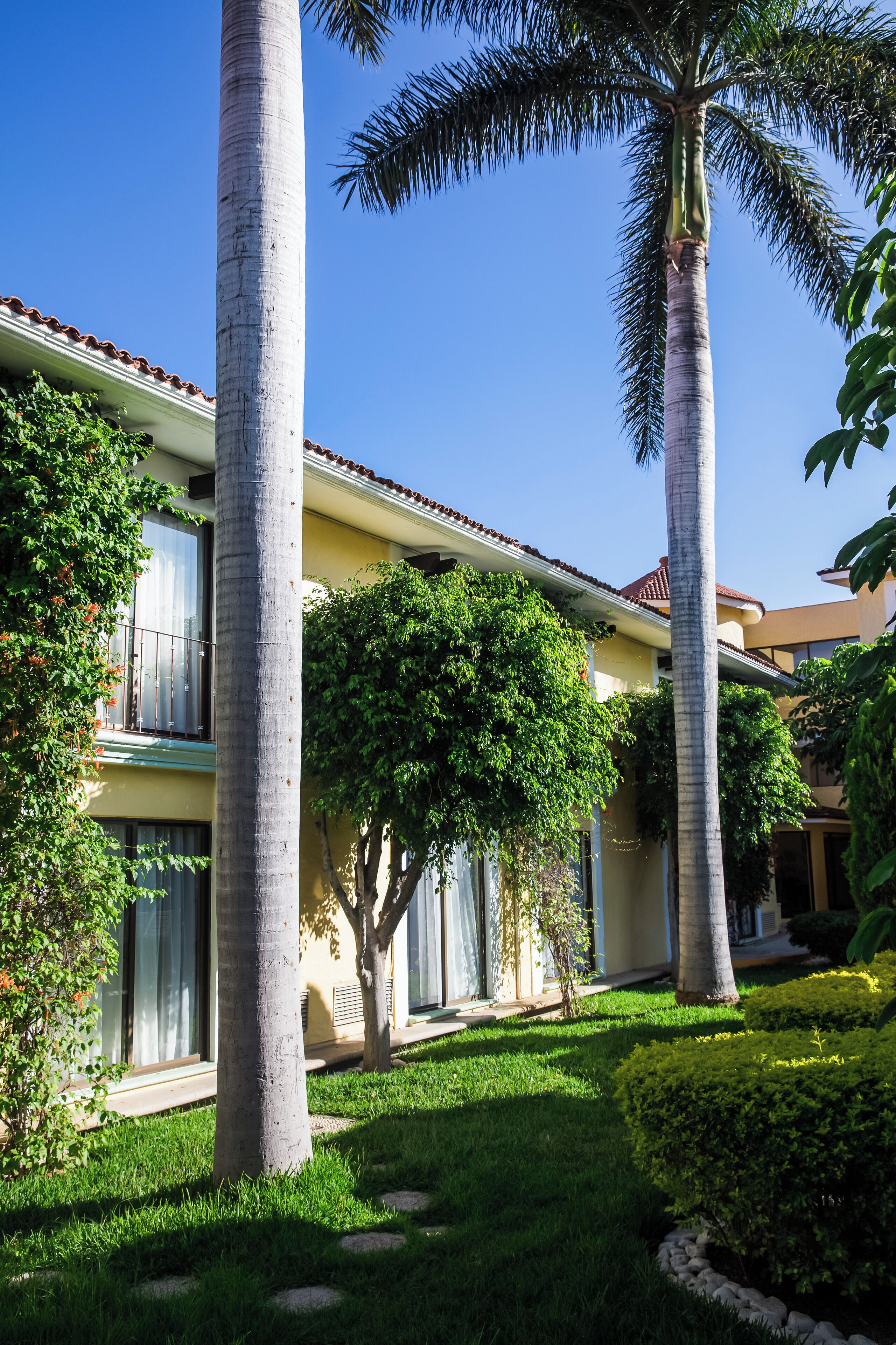 Foto - Fiesta Inn Oaxaca