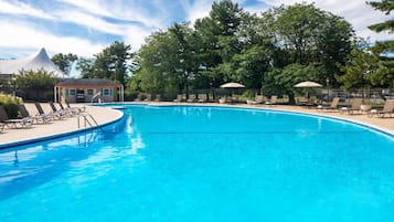 Seasonal outdoor pool, pool umbrellas, pool loungers