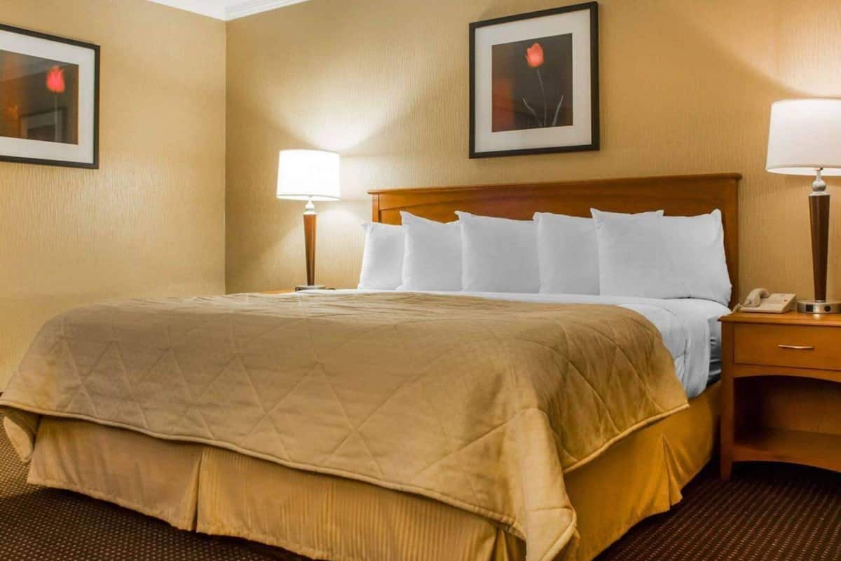 Iron/ironing board, free cribs/infant beds, rollaway beds, free WiFi