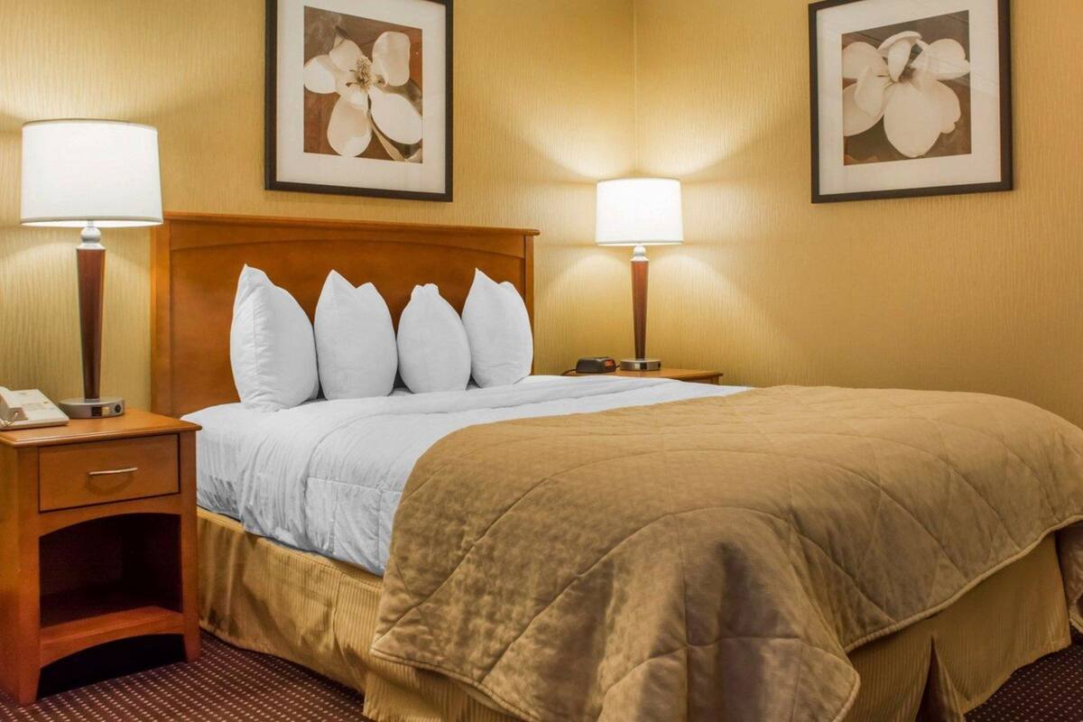 A hotel room with a large bed, two bedside lamps, a nightstand with a phone, and two framed floral pictures on the walls.
