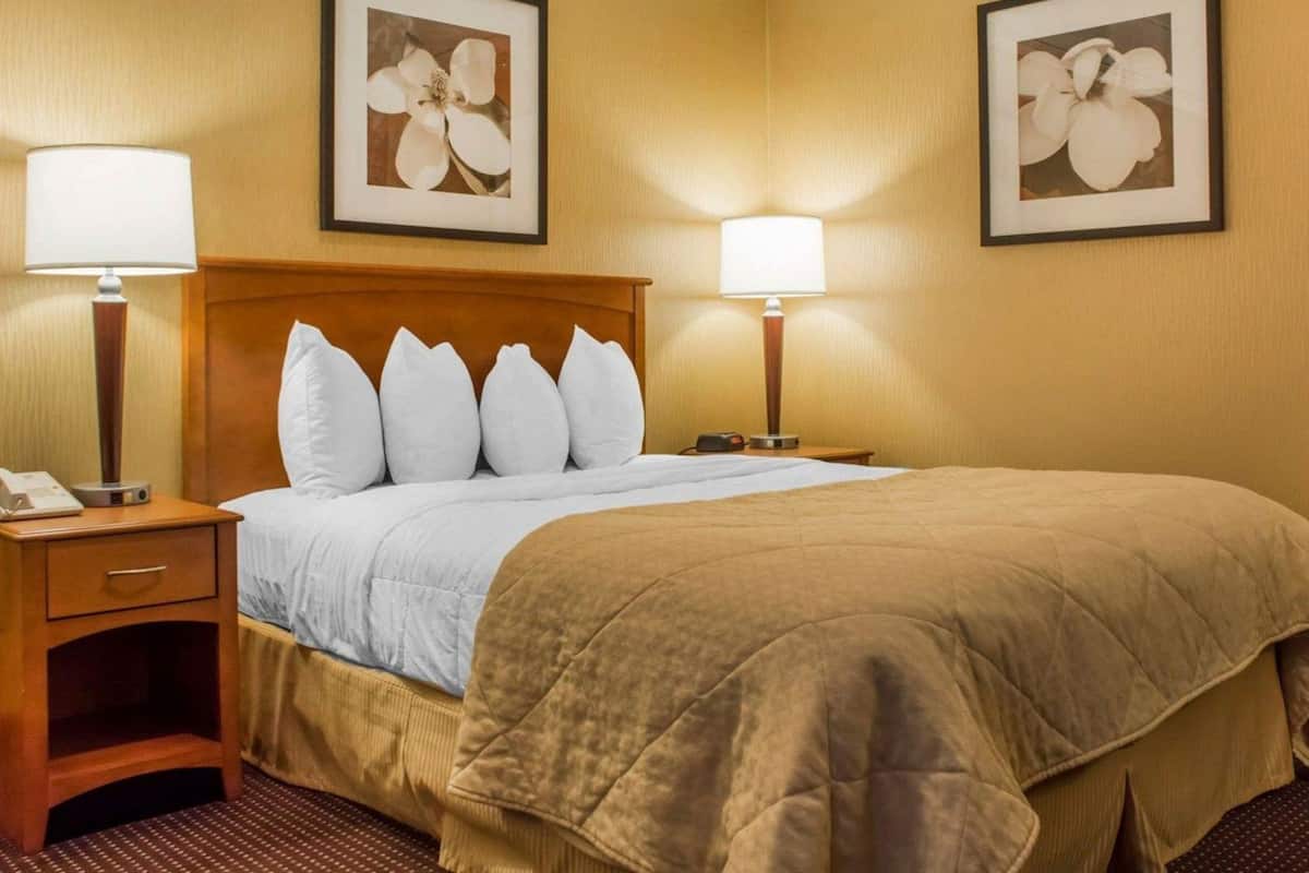 Iron/ironing board, free cribs/infant beds, rollaway beds, free WiFi