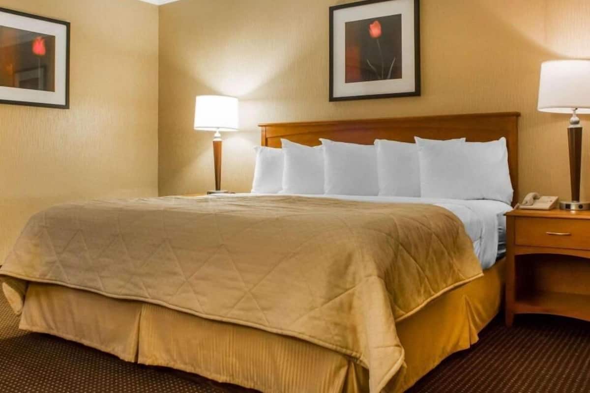 Iron/ironing board, free cribs/infant beds, rollaway beds, free WiFi