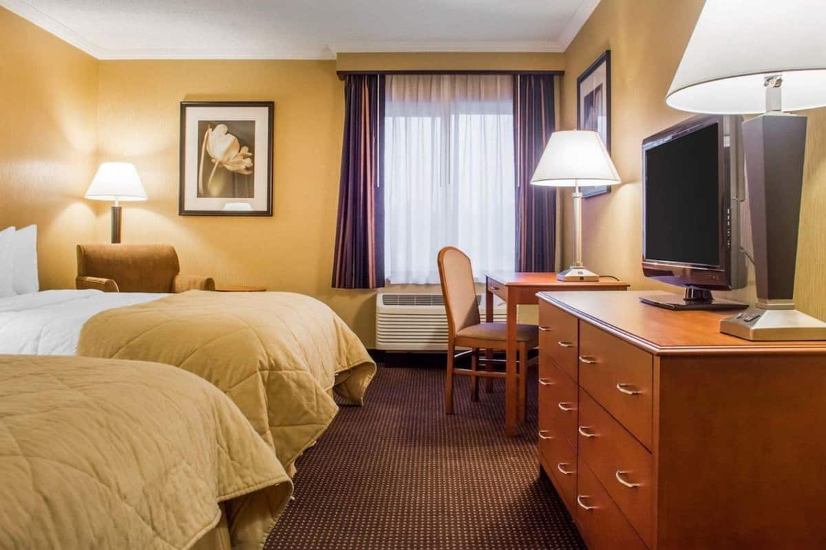 Iron/ironing board, free cribs/infant beds, rollaway beds, free WiFi