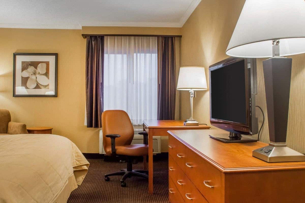 Iron/ironing board, free cots/infant beds, rollaway beds, free WiFi