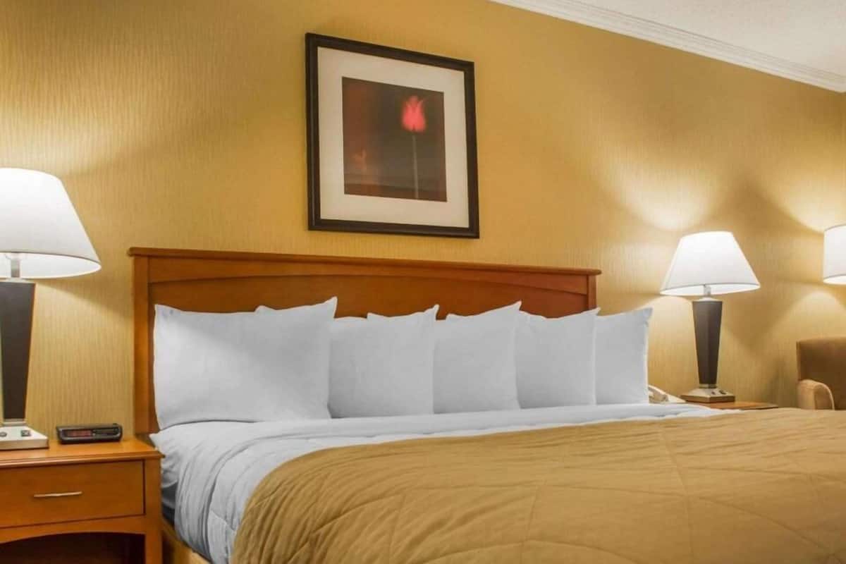 Iron/ironing board, free cribs/infant beds, rollaway beds, free WiFi