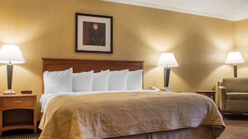 Suite, 1 très grand lit et 1 canapé-lit, non-fumeurs | 1 chambre, fer et planche à repasser, lits bébé (gratuits)