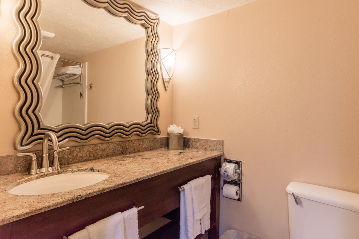 Suihku, ympäristöystävälliset hygieniatuotteet, hiustenkuivaaja