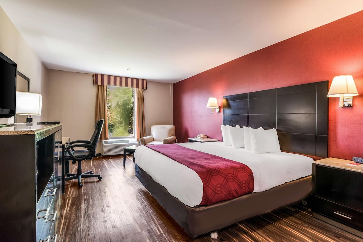 Una habitación de hotel con cama, escritorio, silla y televisor.