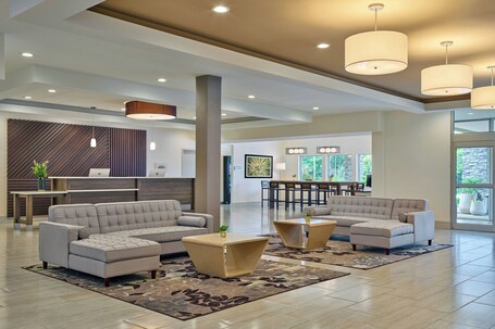Bar en el lobby