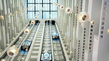 Vista desde la propiedad