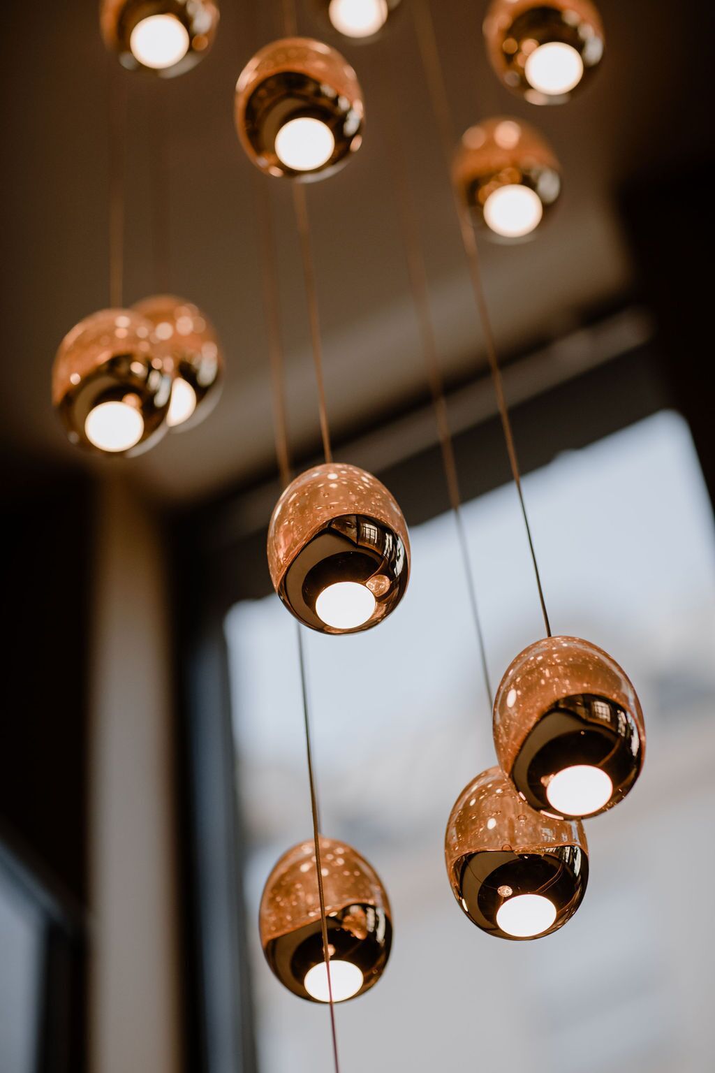 Foto - Prince Albert Lyon Bercy