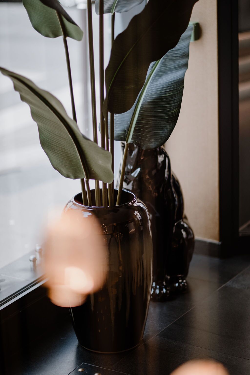 Foto - Prince Albert Lyon Bercy