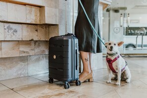Pet-friendly - Atrium Hotel Vancouver (Vancouver)