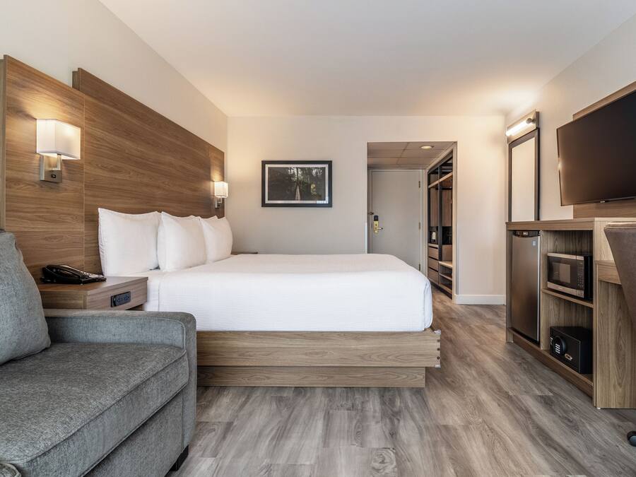 A hotel room with a bed, a sofa, a TV, a microwave, and a wooden headboard.
