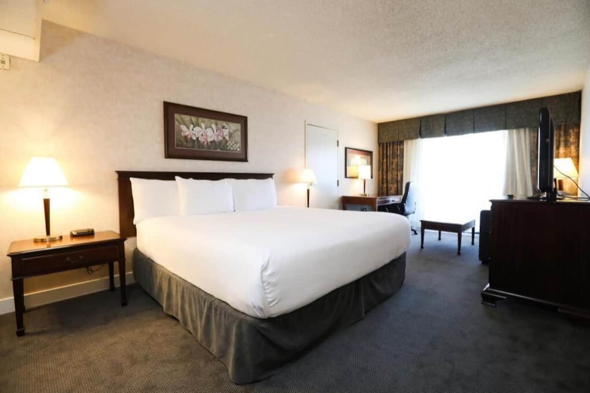 Surmatelas, coffres-forts dans les chambres, bureau