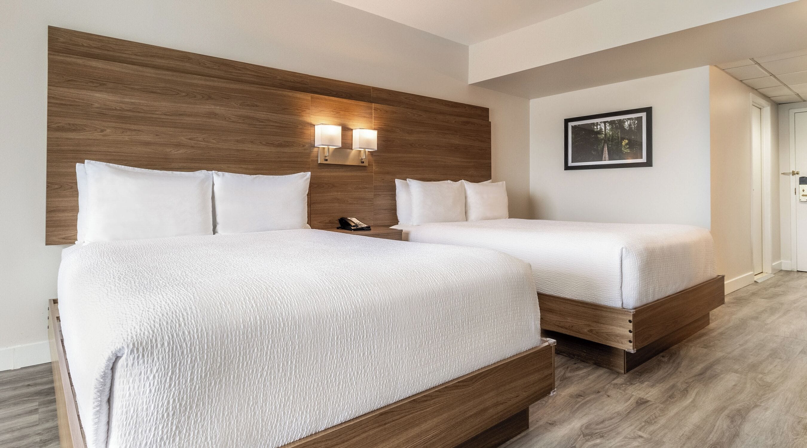 Two Queen with Sofa Bed