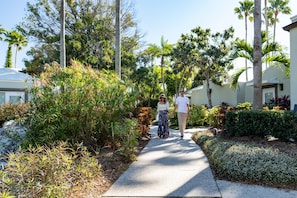 A pathway flanked by lush greenery and palm trees, leading to a residential area with houses. - Grand Hyatt Tampa Bay (Tampa)