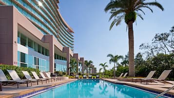 Una piscina con sillas de descanso y palmeras, rodeada por un edificio moderno con amplias ventanas.