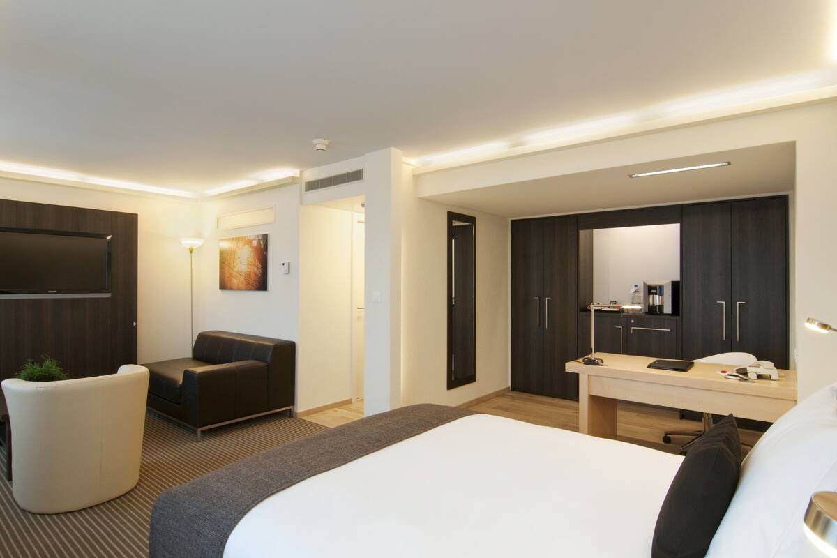 Una habitación de hotel moderna con una cama grande, un escritorio con una silla, un sofá, un televisor de pantalla plana y un armario.