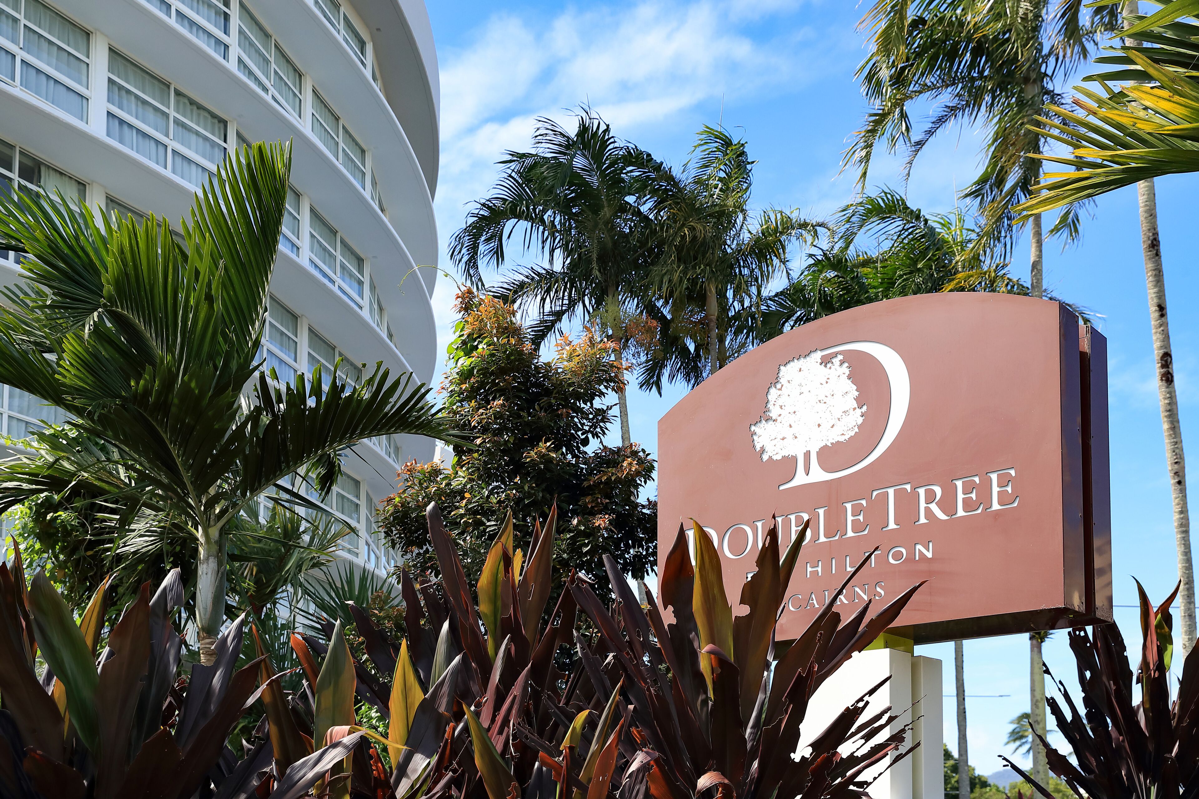 room, 1 king bed, accessible (roll-in shower) | hypo-allergenic bedding, in-room safe, desk, laptop workspace