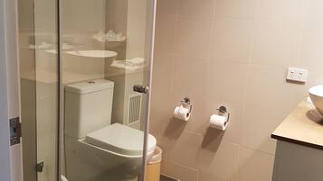 Un baño con cabina de ducha de vidrio, un inodoro, un lavamanos y dos rollos de papel higiénico en la pared.