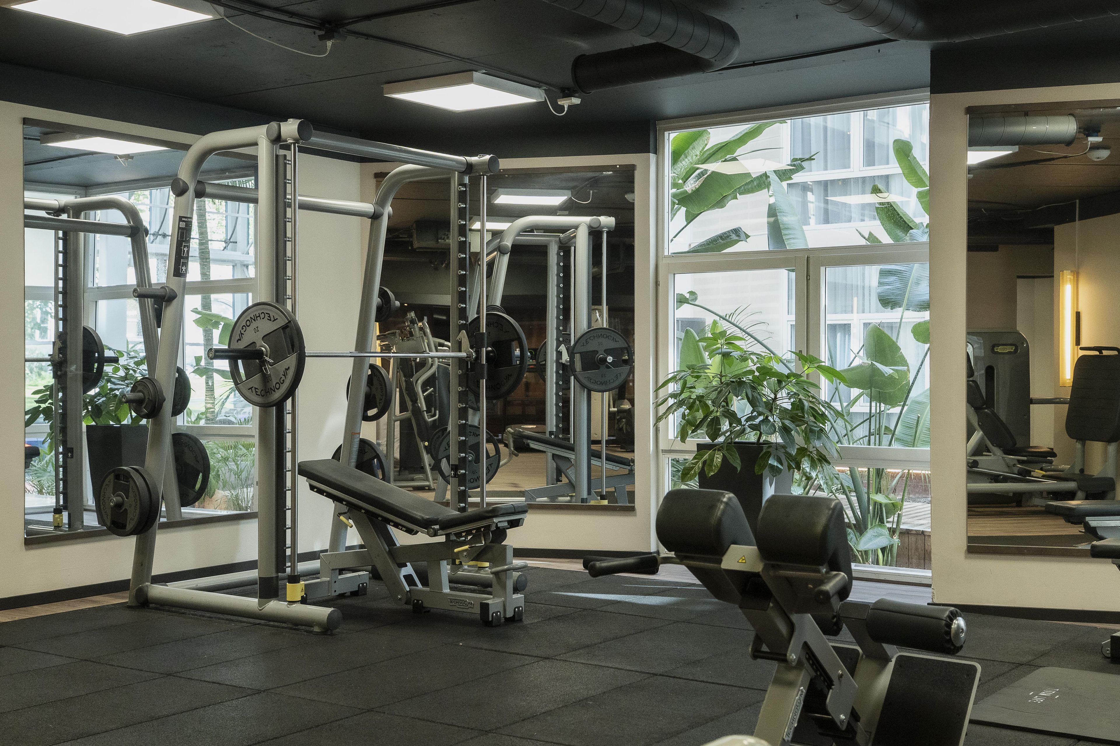 A gym with weightlifting equipment, large windows, and indoor plants.