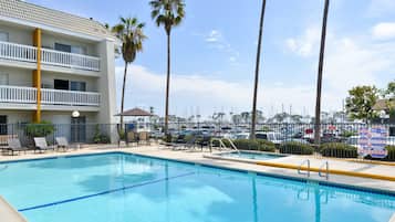 Outdoor pool, sun loungers