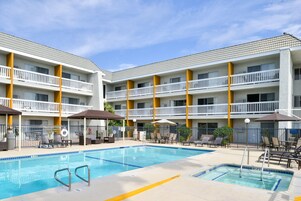 Outdoor pool, sun loungers