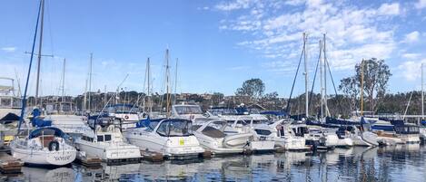 Uma marina com vários barcos atracados.