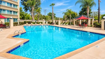 A rectangular swimming pool with clear blue water, surrounded by lounge chairs and umbrellas, with a building and palm trees in the background.