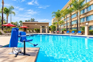 Una piscina con sillones de descanso y sombrillas, rodeada de palmeras y un edificio con amplias ventanas.