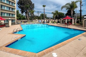 Piscine extérieure, chaises longues