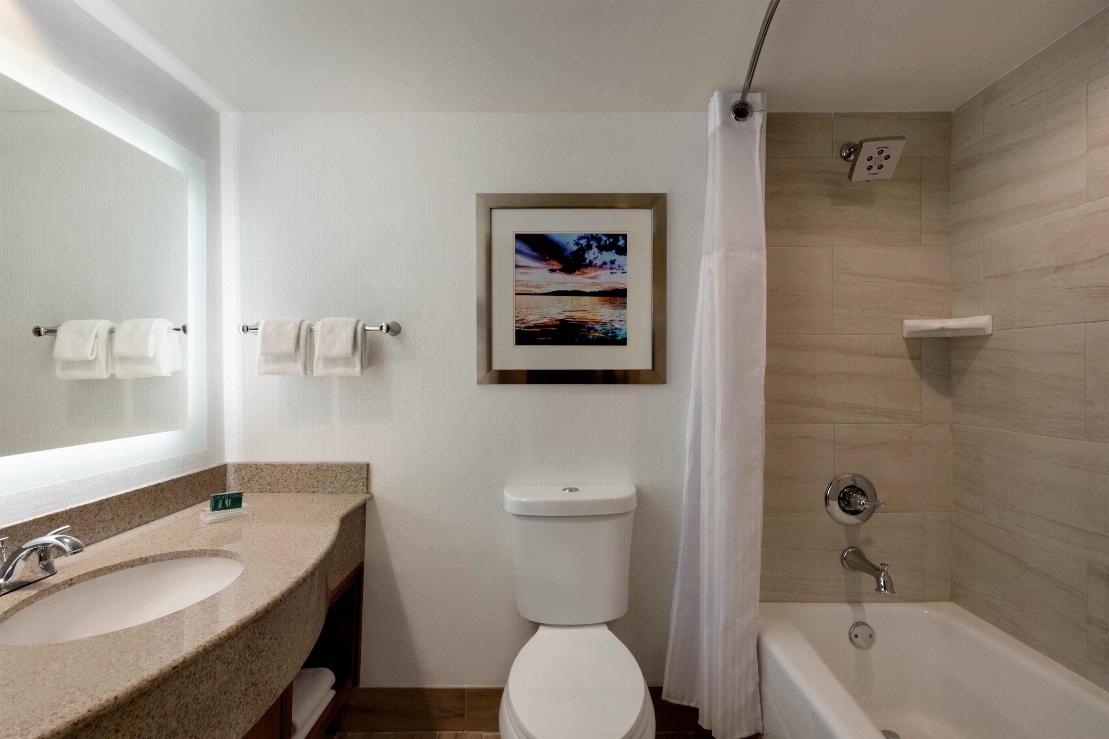 Un baño con lavamanos, inodoro, ducha y un cuadro en la pared.