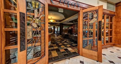 Hilton Knoxville Airport
