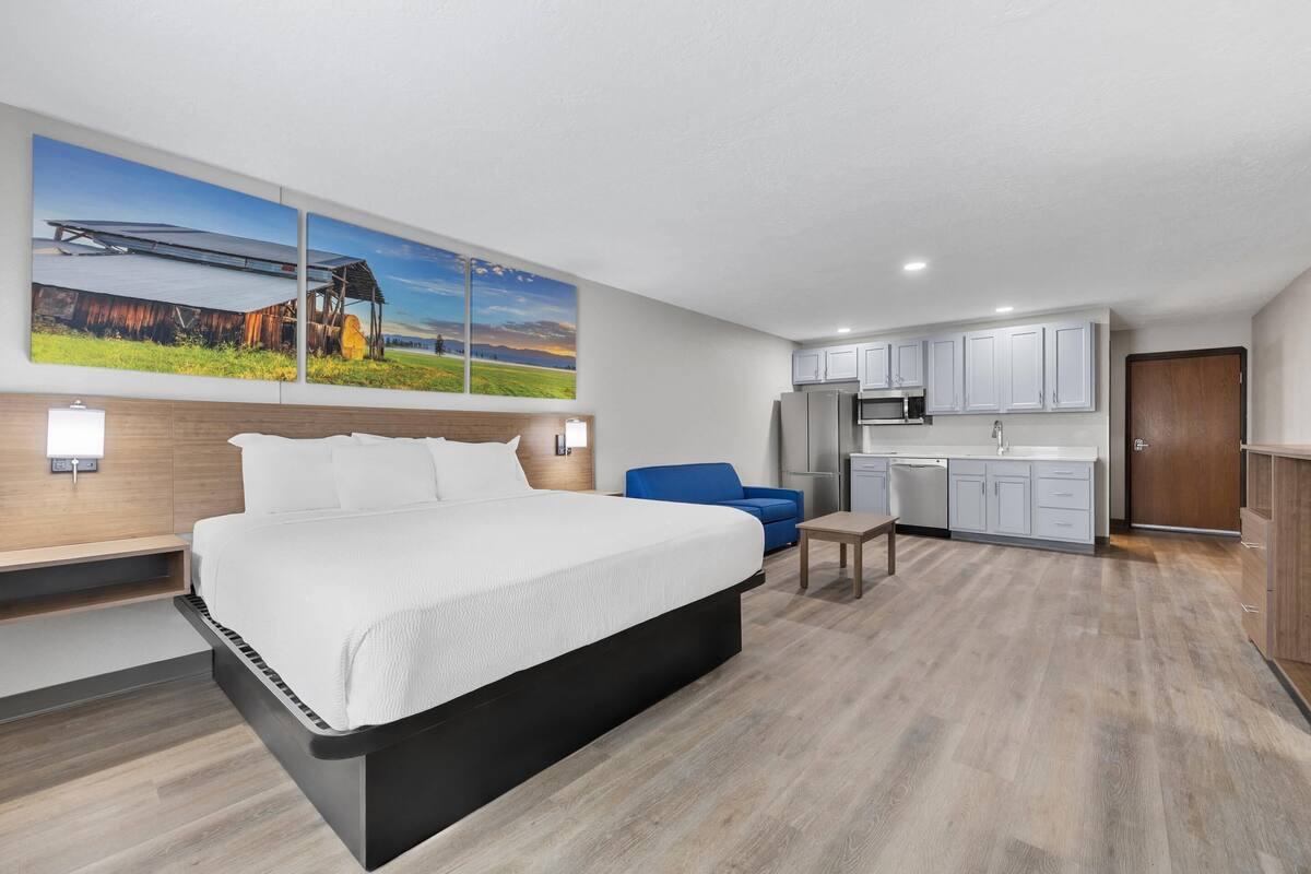 Suite, 1 très grand lit et 1 canapé-lit, non-fumeur (Efficiency) | Bureau, espace de travail pour ordinateurs portables