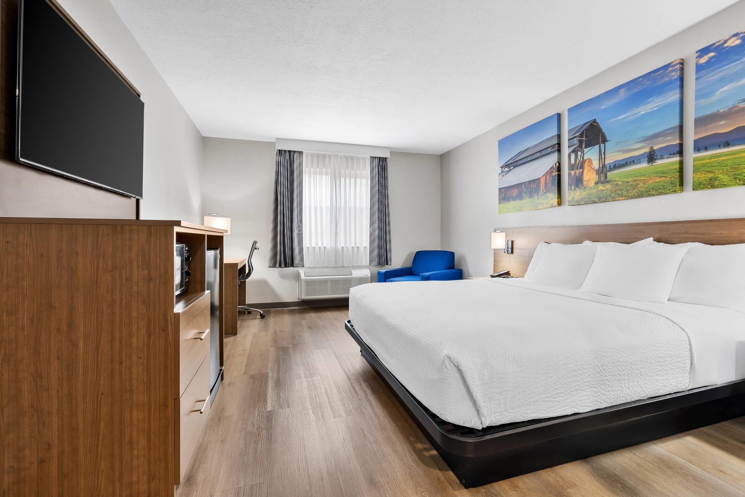 Standard Room, 1 King Bed, Non Smoking | Desk, laptop workspace, blackout drapes, iron/ironing board