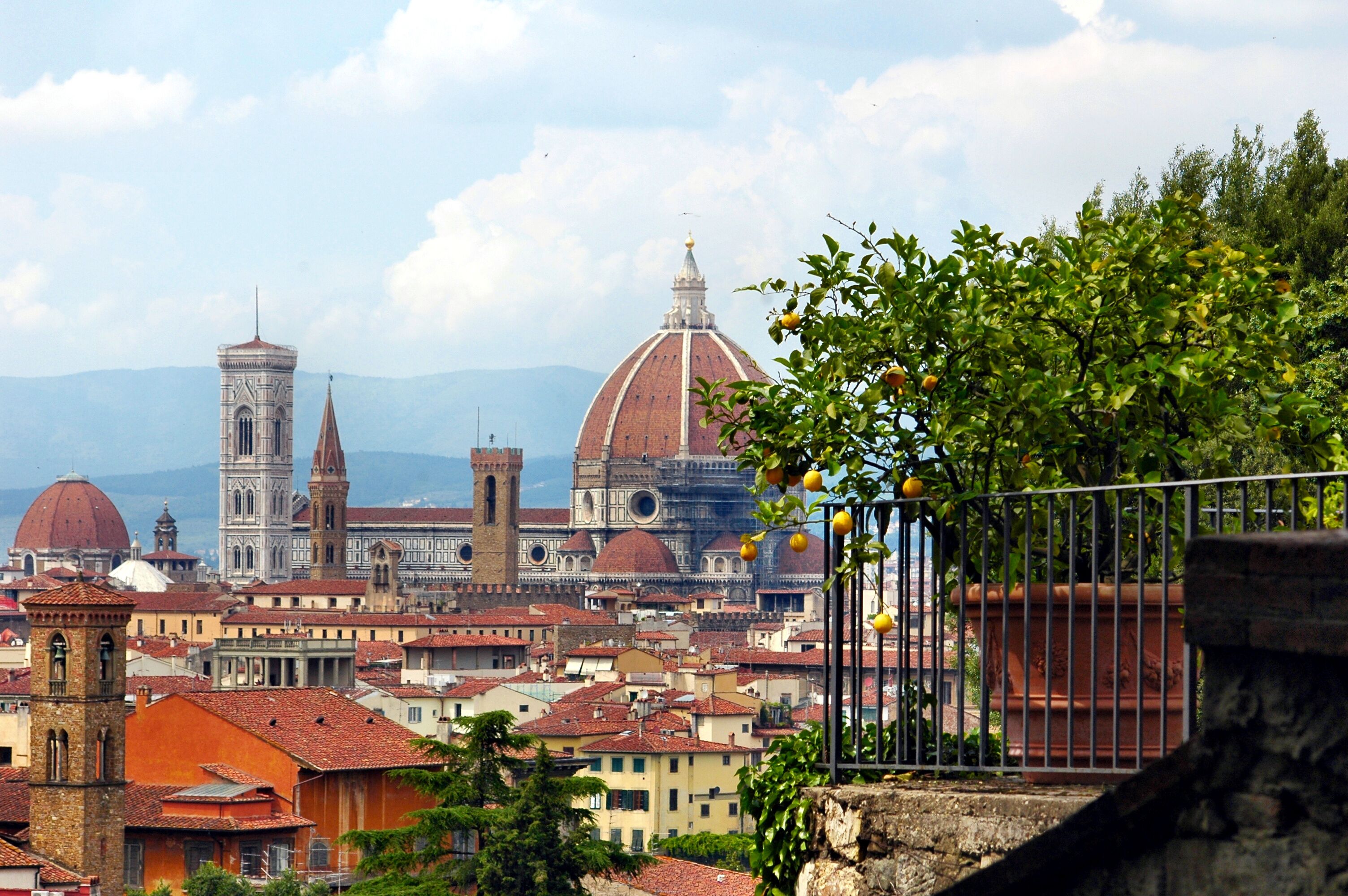 Foto - Hotel Indigo Florence by IHG