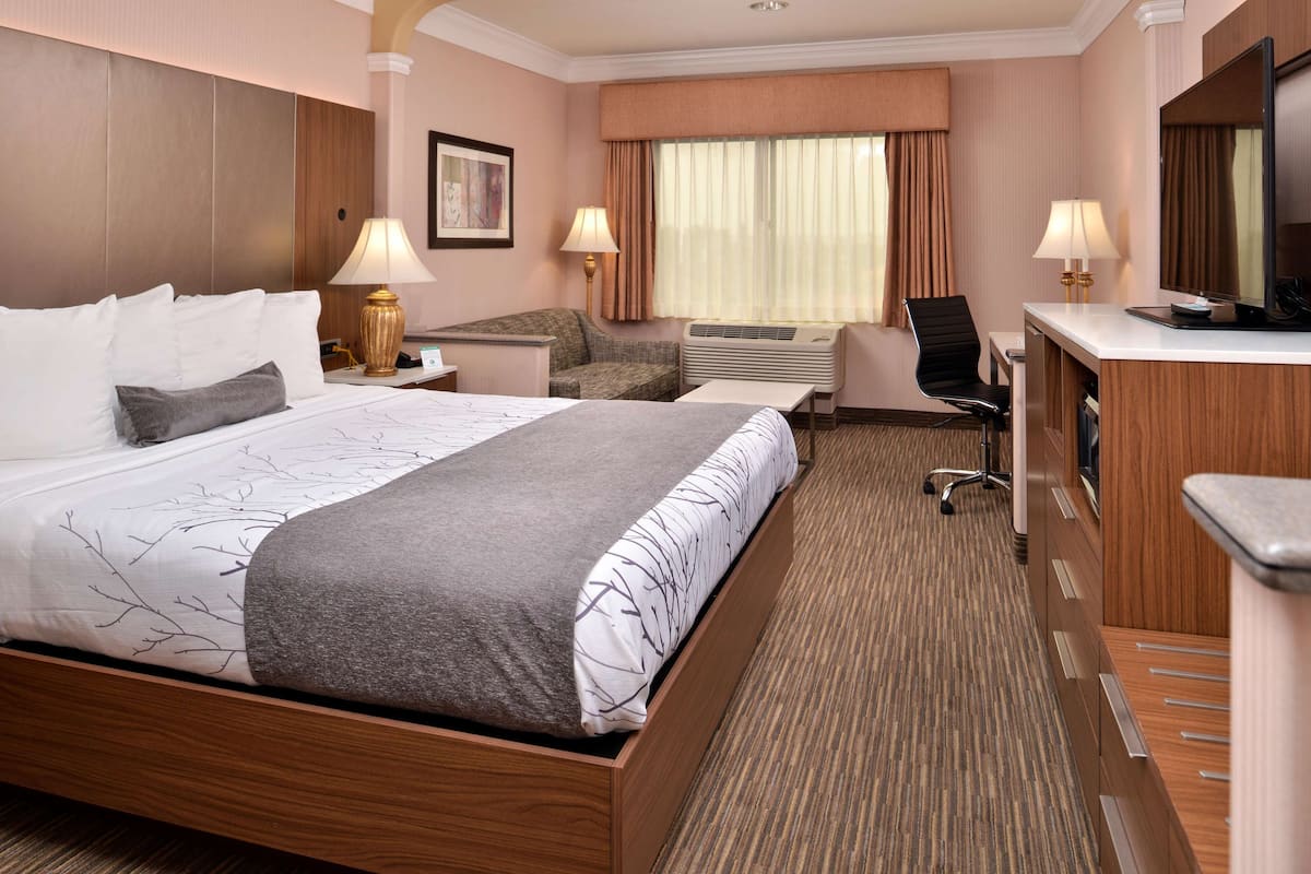 Habitación de hotel con una cama grande, un escritorio, una silla, un equipo de aire acondicionado y un televisor.