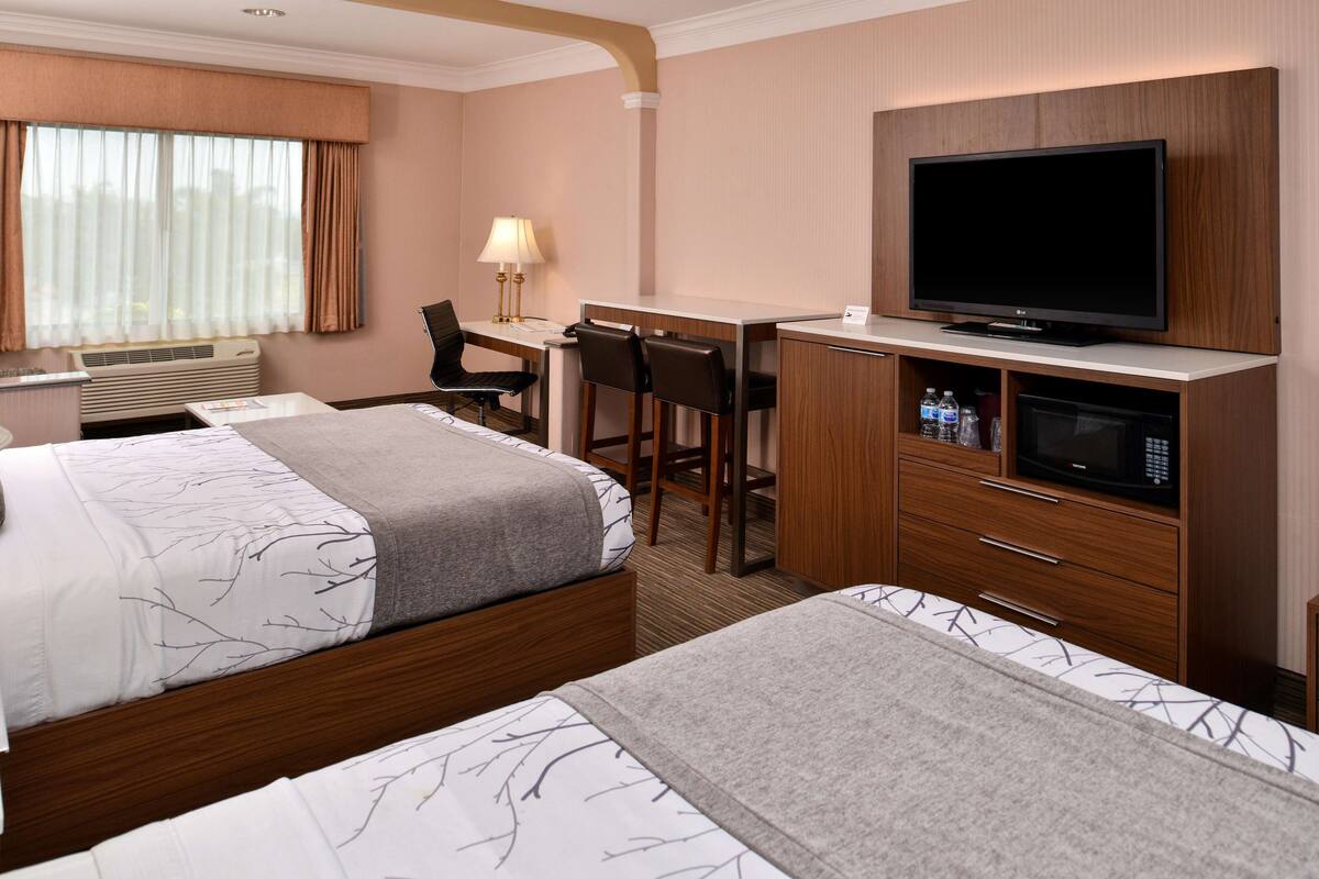 Habitación de hotel con dos camas, un escritorio, una silla, un televisor y un microondas.