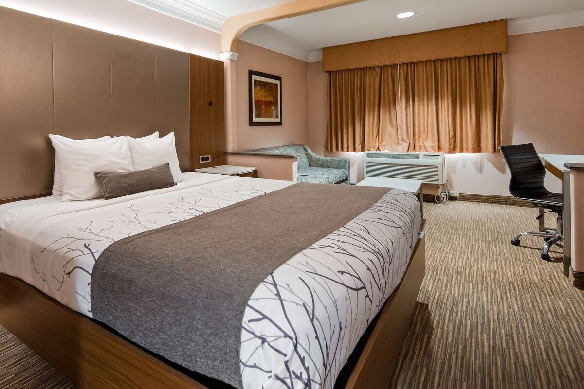 Una habitación de hotel con una cama grande, un escritorio y una silla.