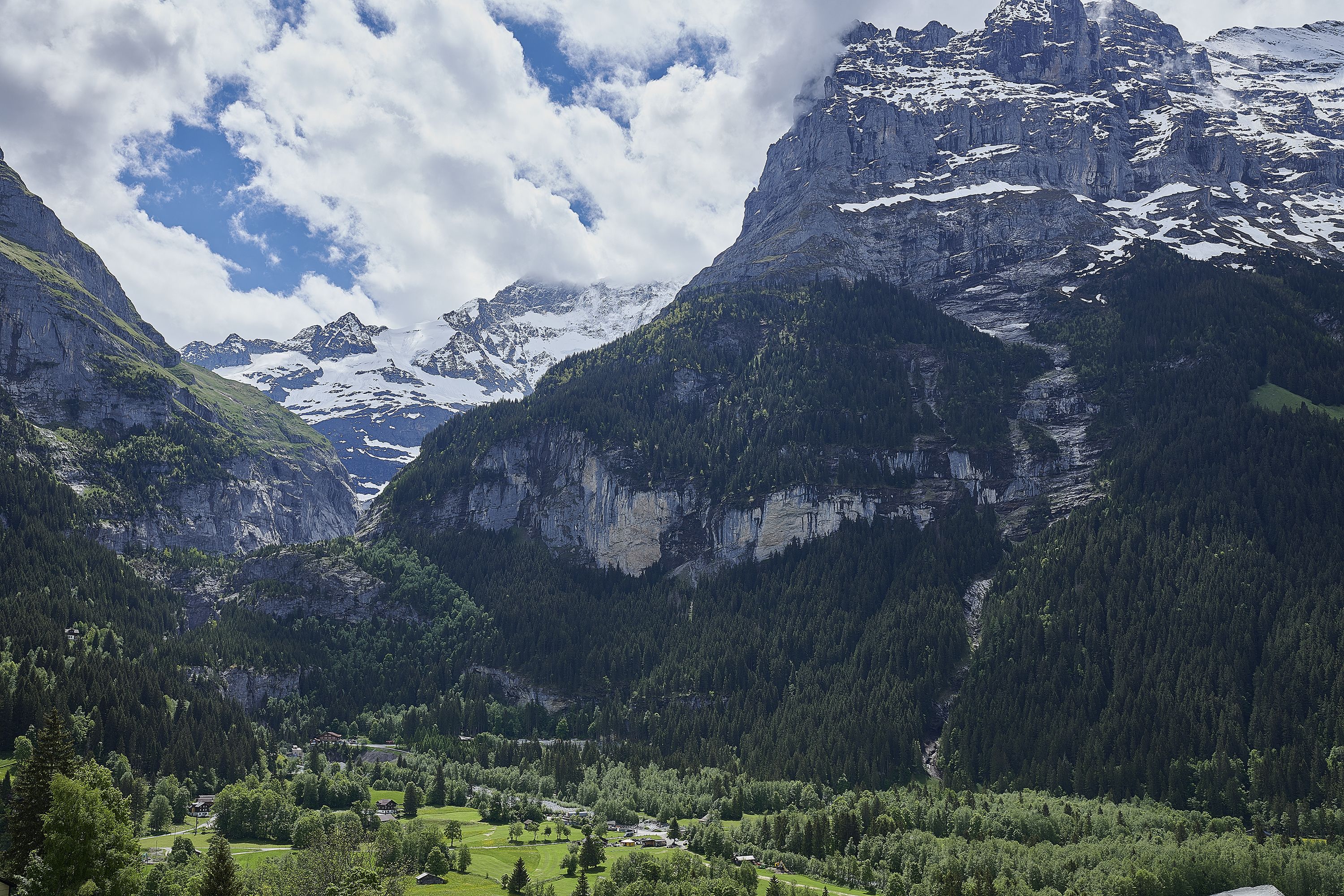Un paisaje montañoso con un valle, bosques densos y cumbres nevadas.