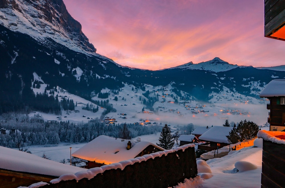 Hotel Spinne by null