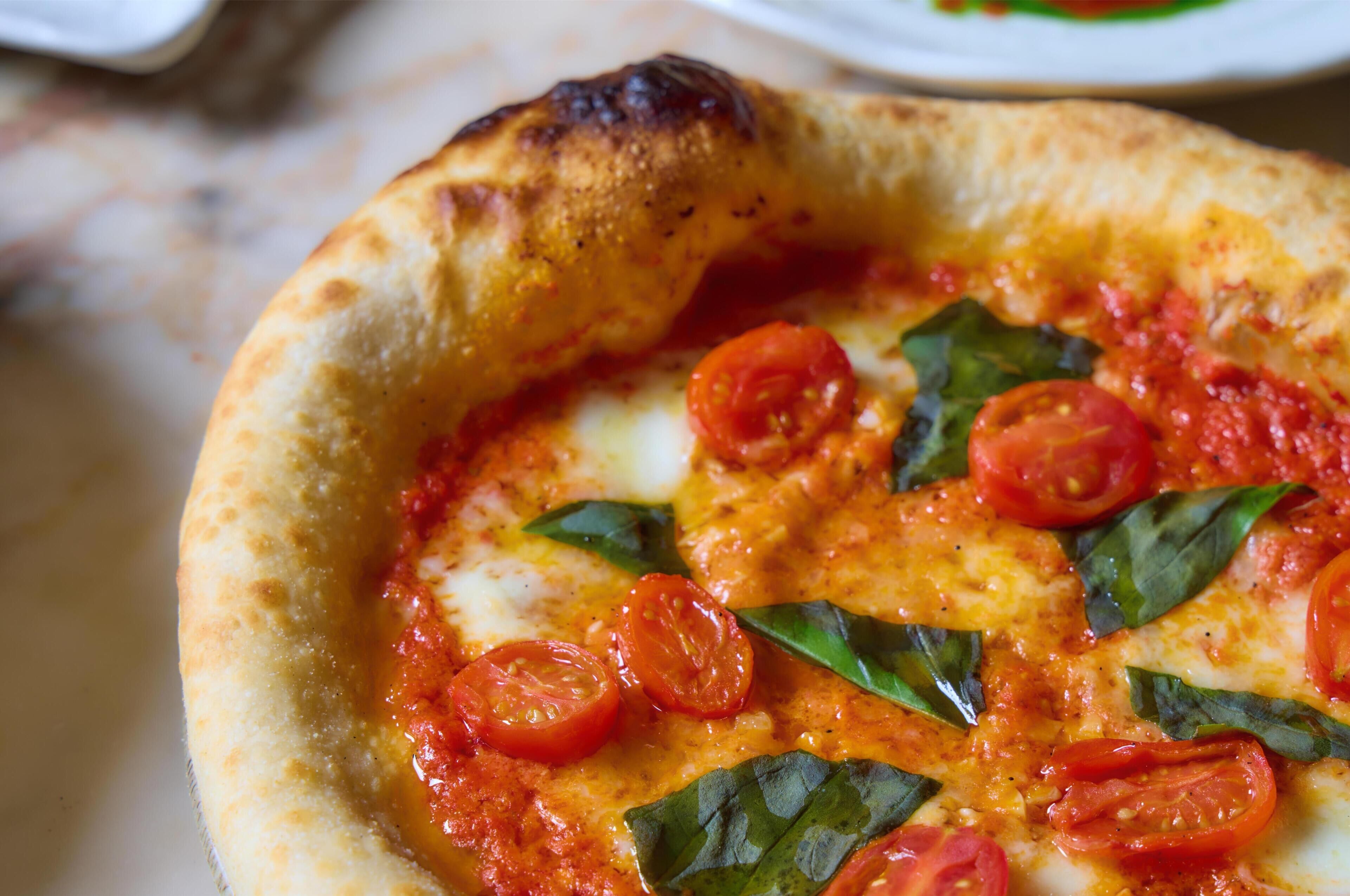 A close-up of a pizza with tomato and basil toppings.