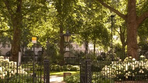 A gated entrance with a lamp post, surrounded by lush greenery and white flowers. - Hyatt Regency London The Churchill (London)