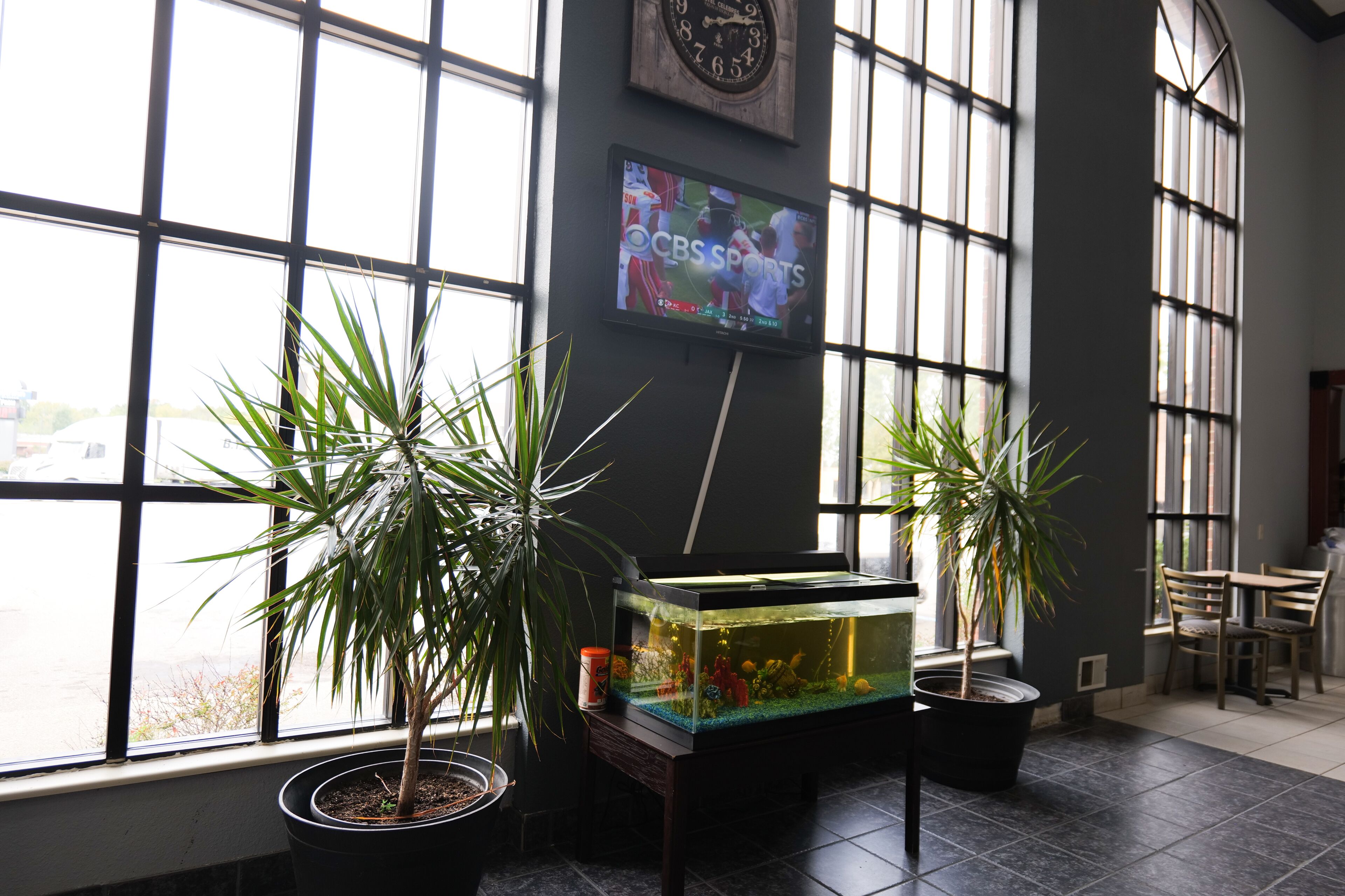 Quarto com grandes janelas, aquário e televisão exibindo esportes.