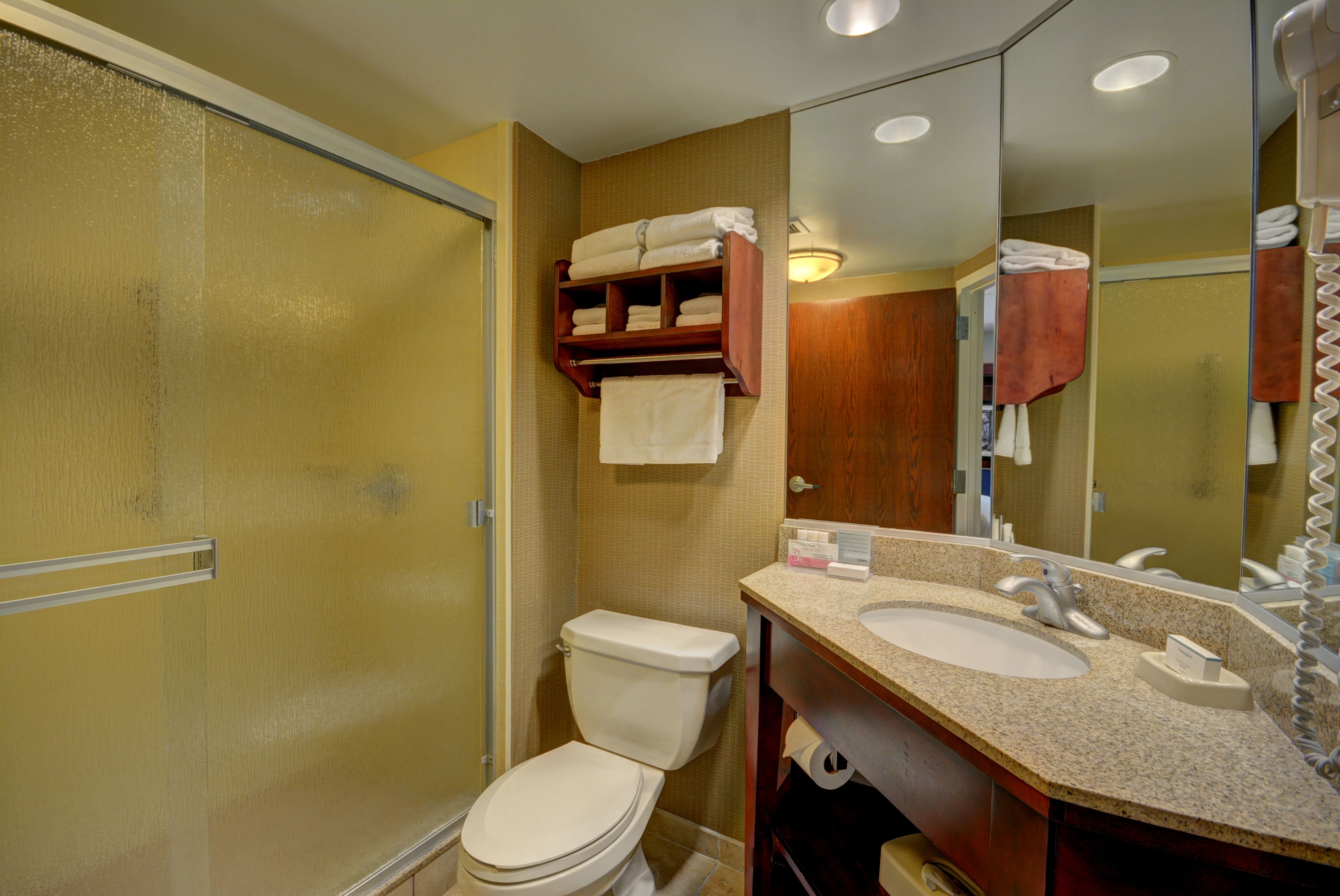 deluxe room, 1 king bed with sofa bed, non smoking | bathroom shower